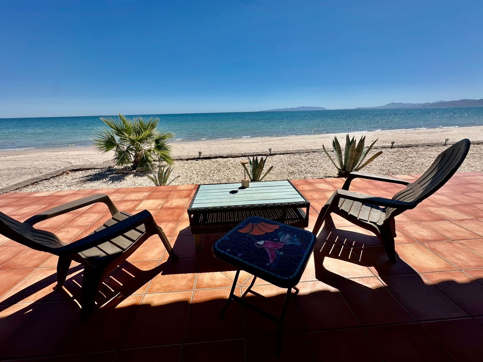 WhatsApp Image 2026-03-09 at 12.13.05 PM (1)