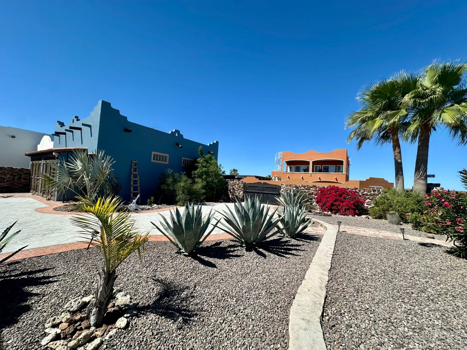 WhatsApp Image 2026-03-09 at 12.13.07 PM (1)