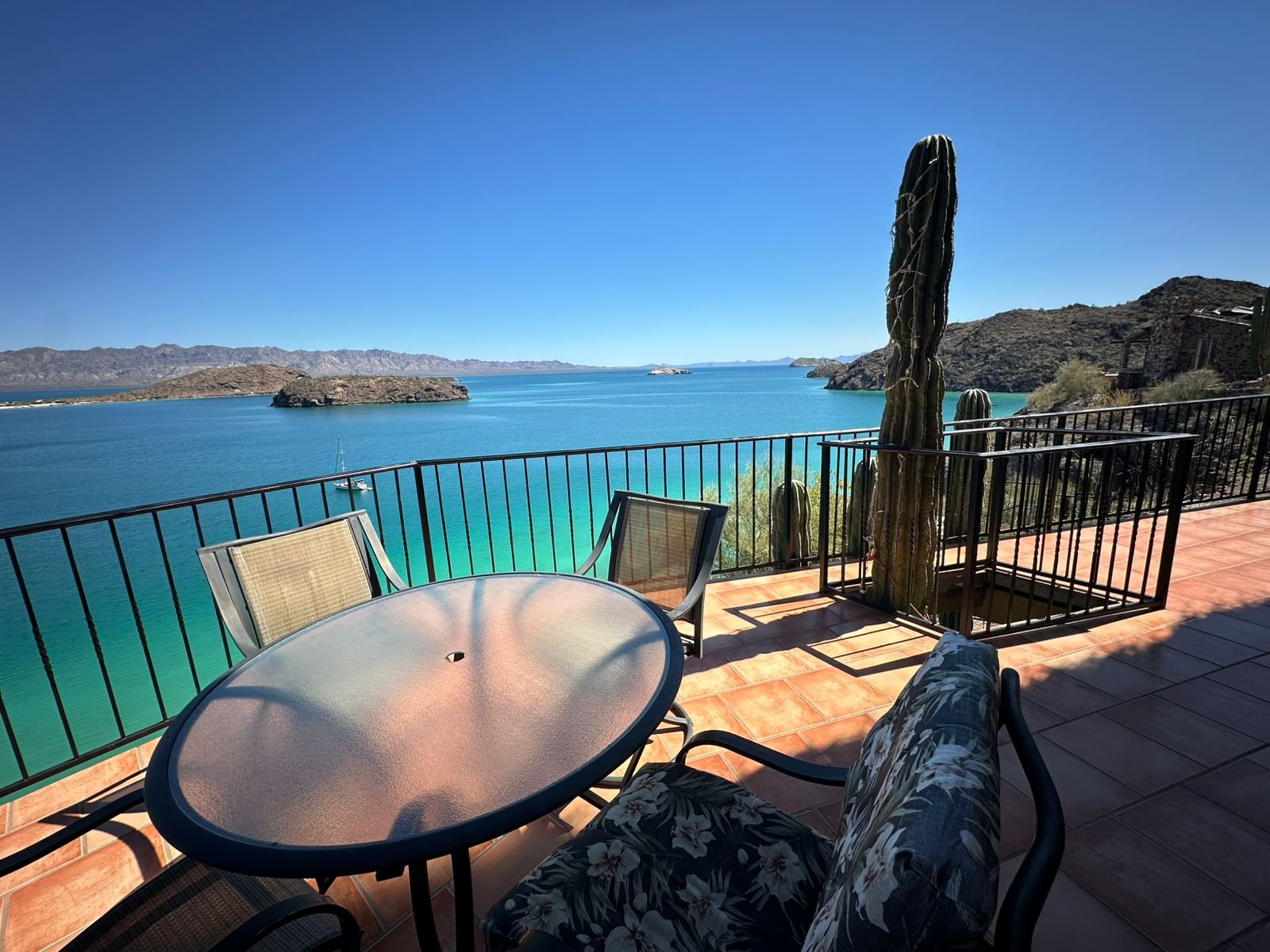 WhatsApp Image 2026-03-09 at 12.37.14 PM (2)