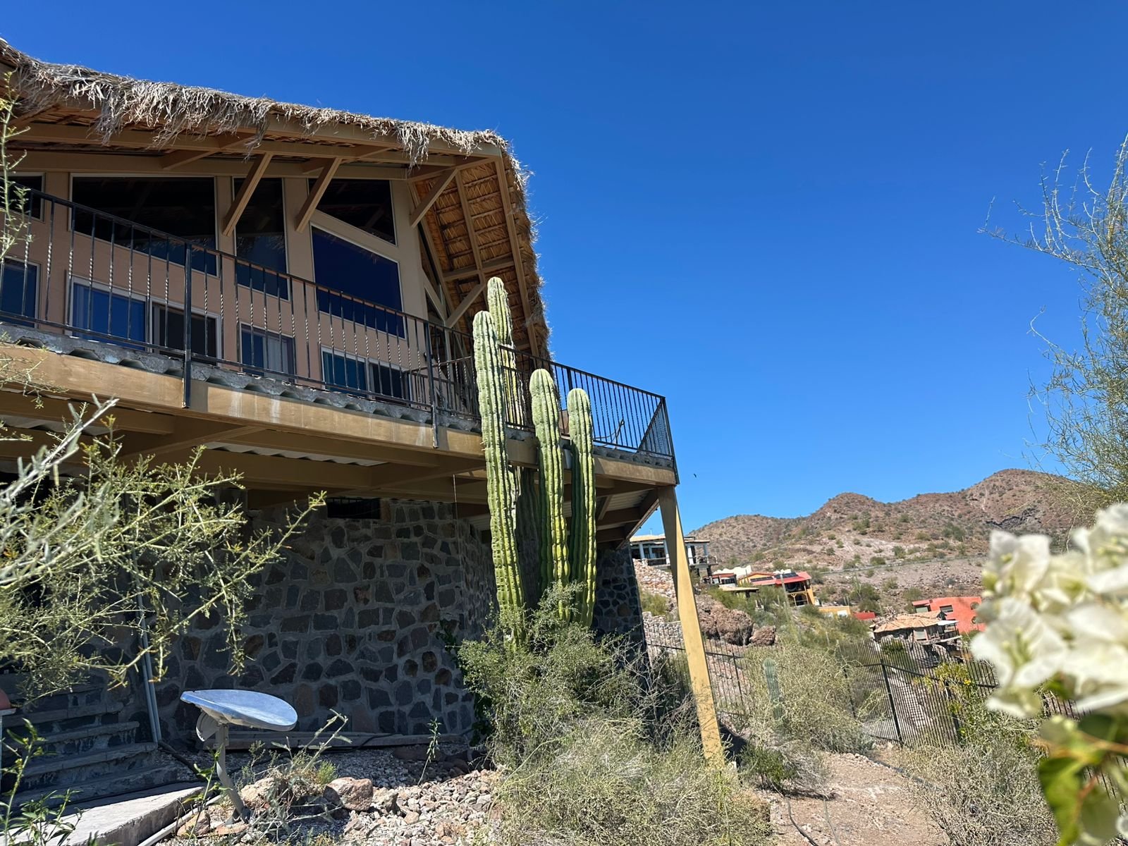 WhatsApp Image 2026-03-09 at 12.37.17 PM