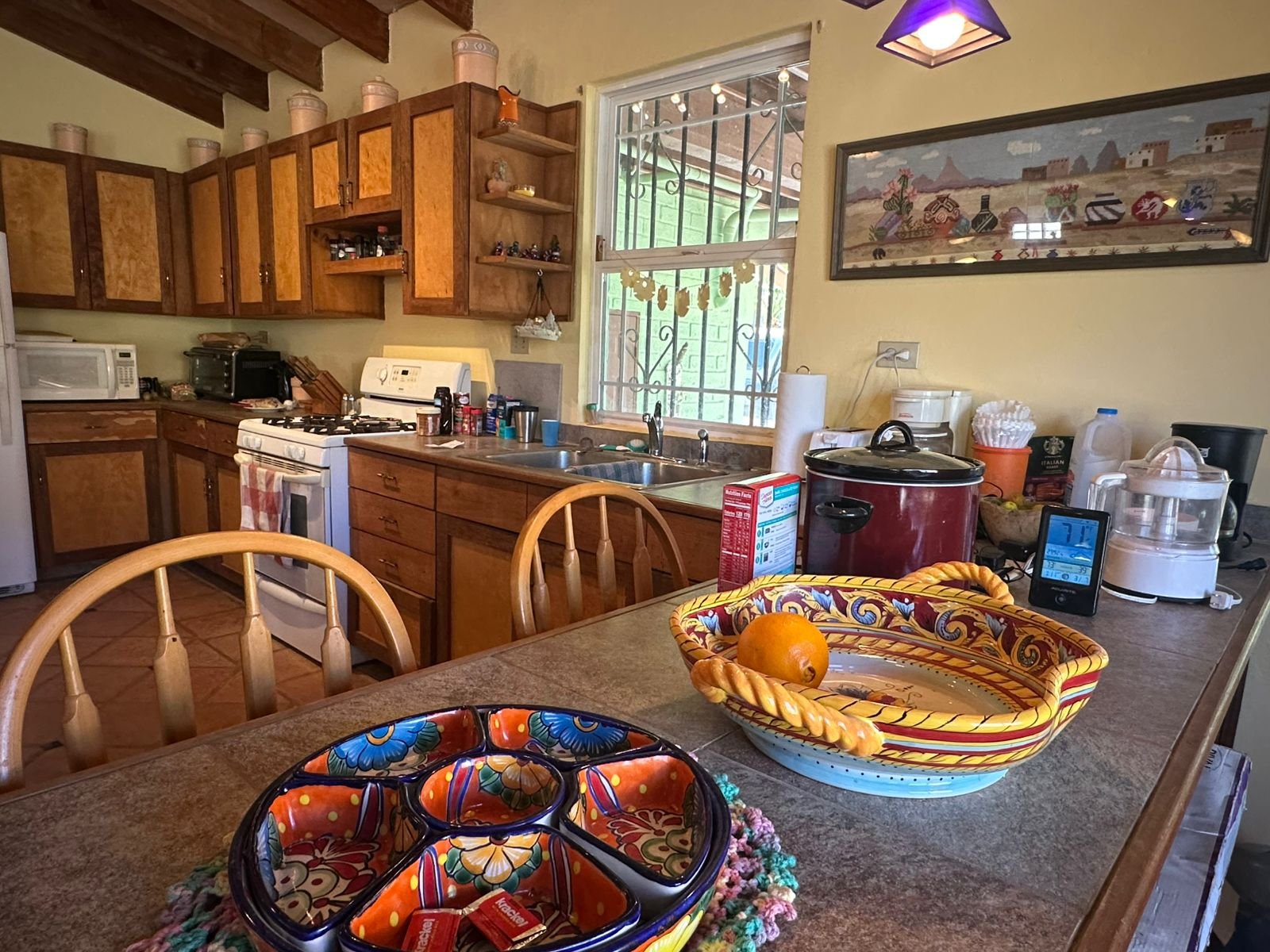 WhatsApp Image 2026-03-19 at 10.47.44 AM (3)