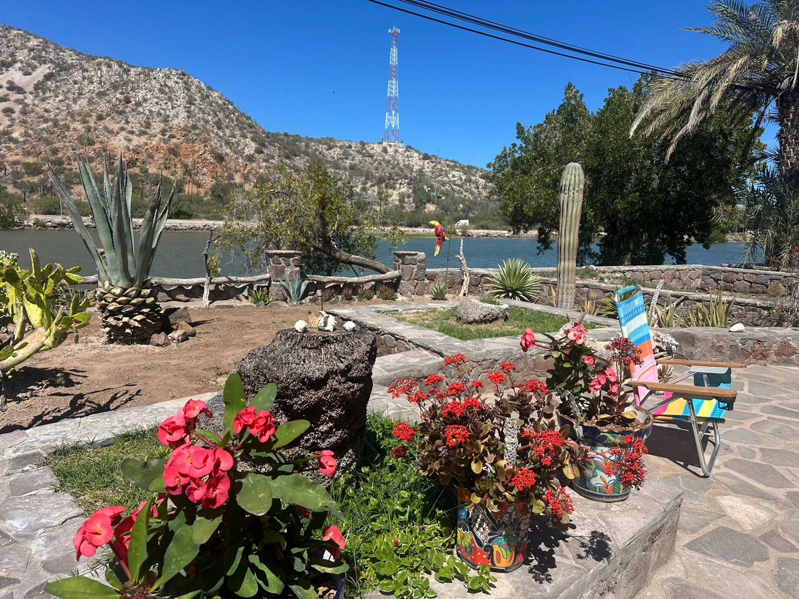 WhatsApp Image 2026-03-19 at 10.47.44 AM