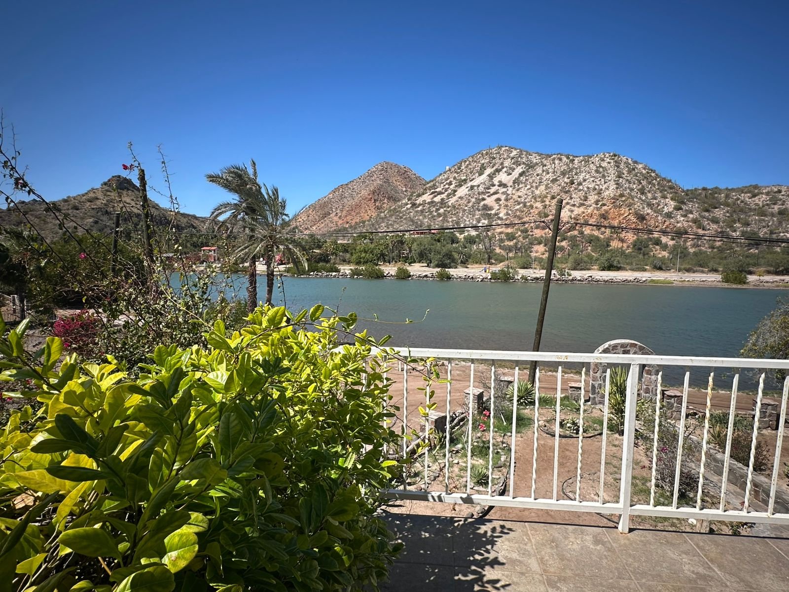 WhatsApp Image 2026-03-19 at 10.47.46 AM (7)