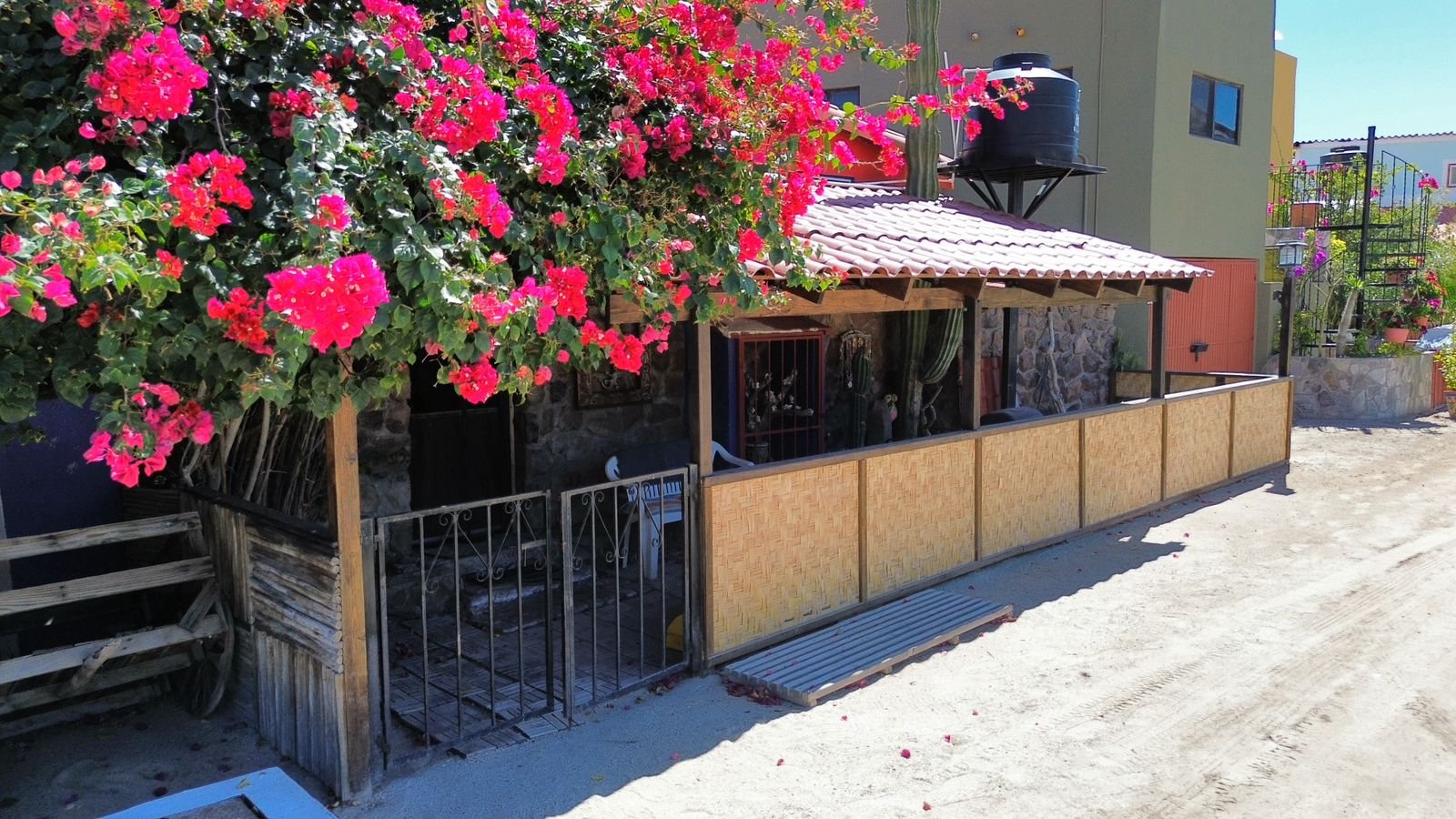 WhatsApp Image 2026-03-20 at 8.34.03 AM (2)