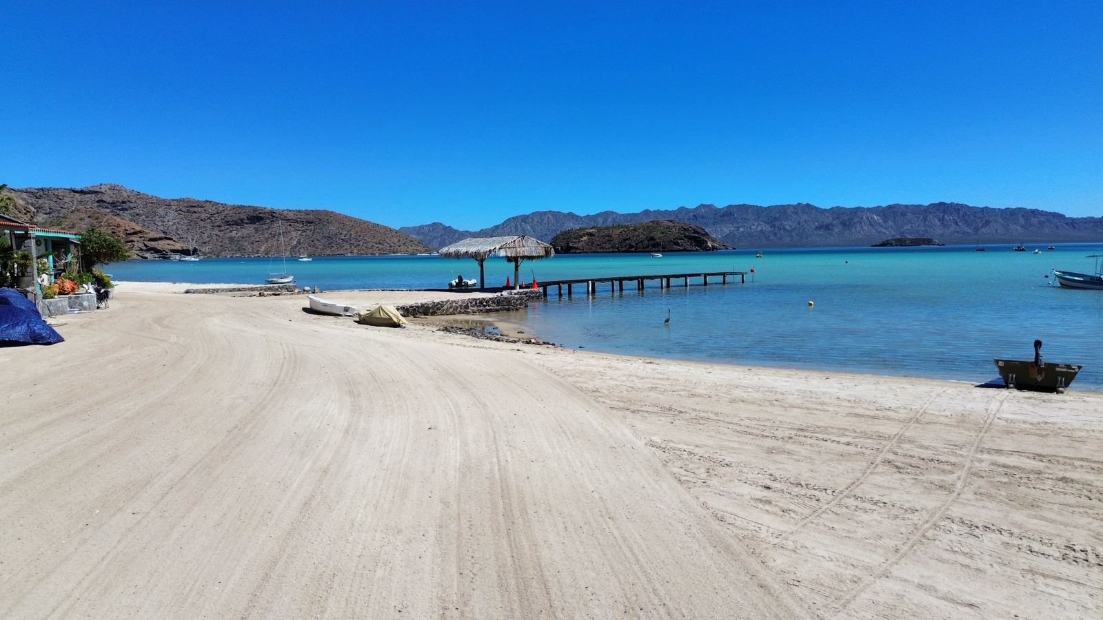 WhatsApp Image 2026-03-20 at 8.34.07 AM (3)