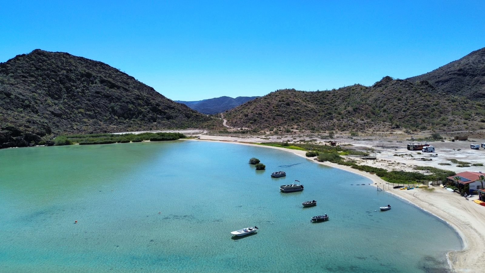 WhatsApp Image 2026-03-20 at 8.34.07 AM (4)