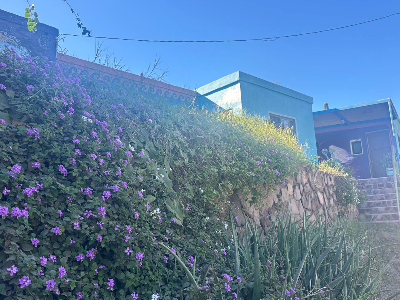 WhatsApp Image 2026-04-21 at 12.32.48 PM (1)