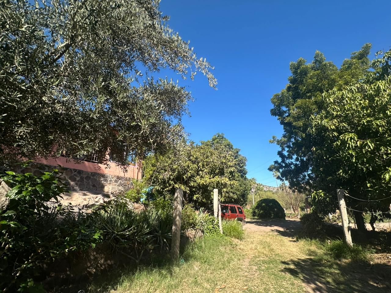 WhatsApp Image 2026-04-21 at 12.32.50 PM (1)