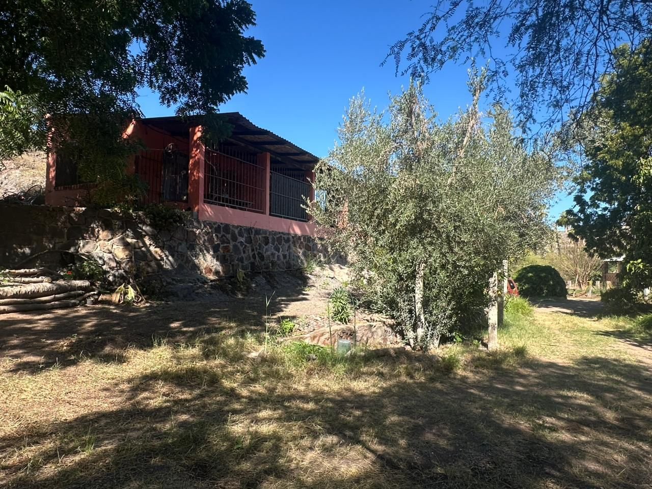 WhatsApp Image 2026-04-21 at 12.32.50 PM