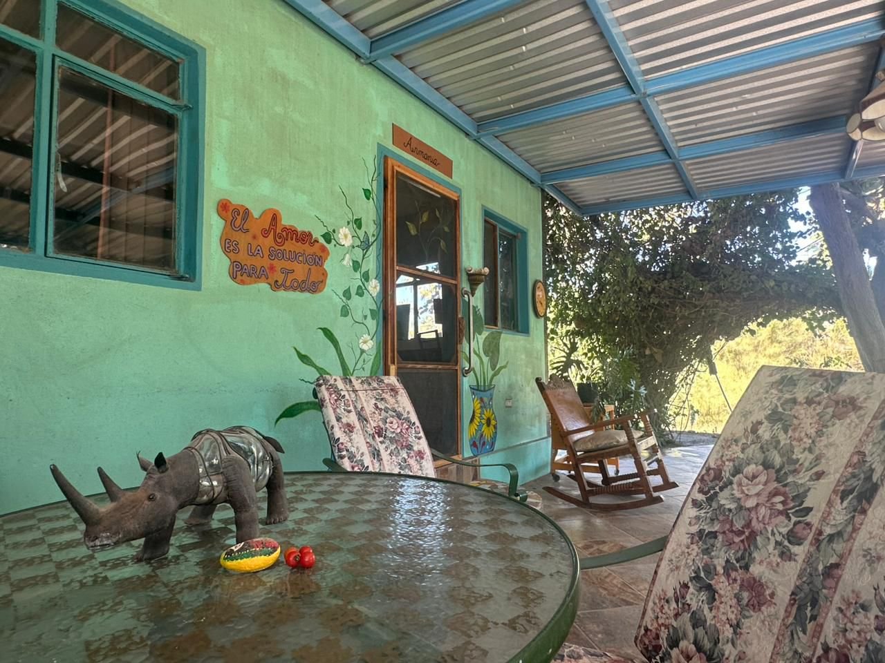 WhatsApp Image 2026-04-21 at 12.32.54 PM (3)