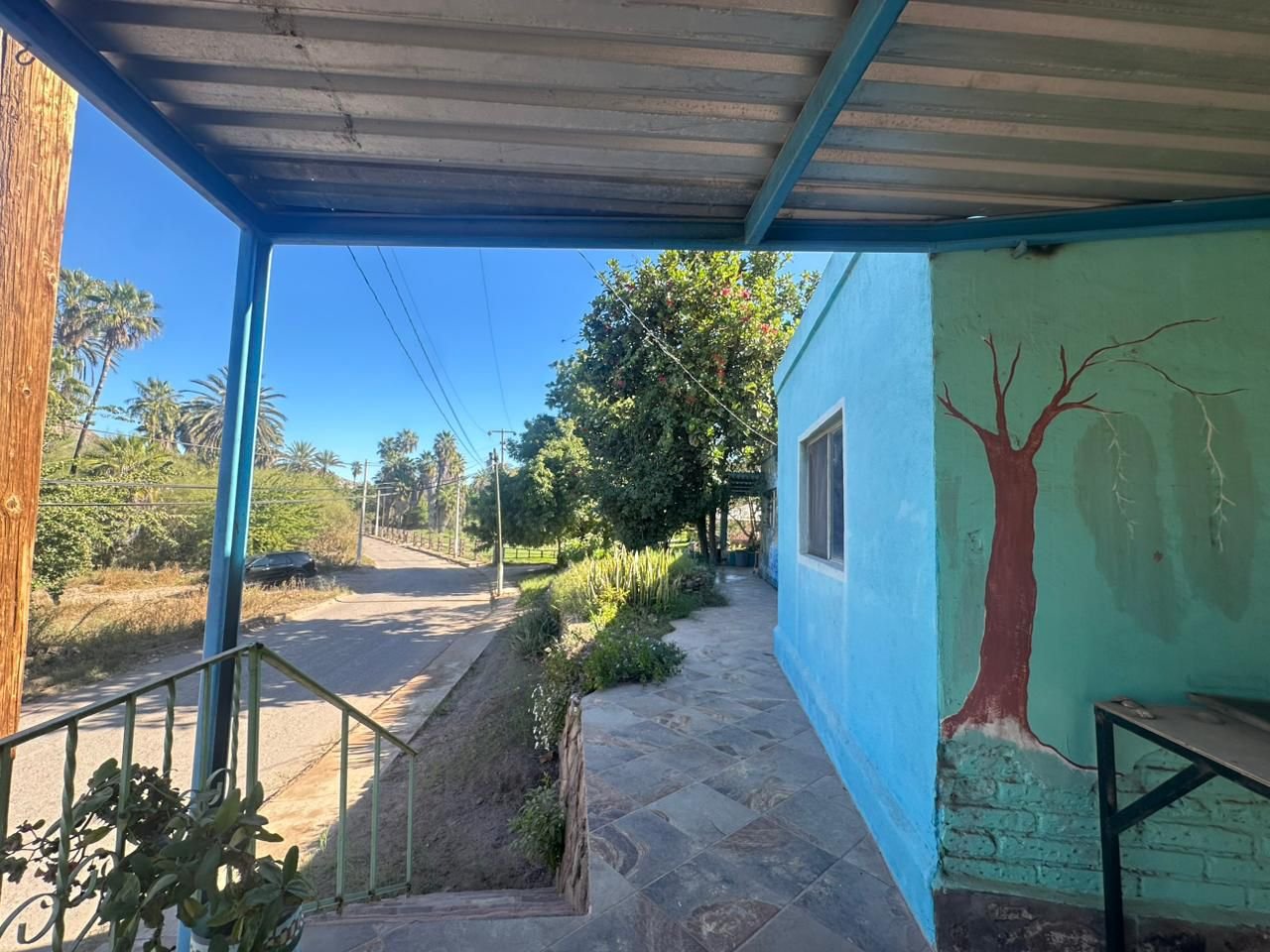 WhatsApp Image 2026-04-21 at 12.32.55 PM (1)